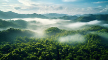 Rainforest Or Jungle Aerial View. Top View Of A Green Forest With Mist, For Earth Day Concept