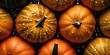 Closeup of pumpkin with waterdrops, top view ,Veggies collection set consept.