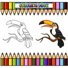 Wall Mural - Toucans bird cartoon on tree branch for coloring book