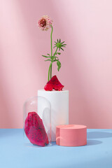 Sticker - On a blue-pink background, props, red dragon fruit and flowers are artistically decorated. Space for displaying beauty products of natural origin.