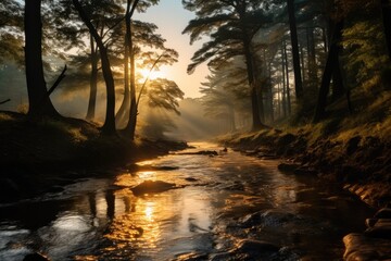 Wall Mural - Trees and sun rays shining through with a river.