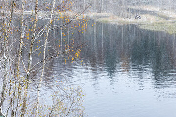 Wall Mural - Autumn landscape with birch trees on the river coast