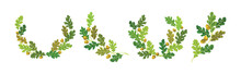 Oak Branches With Green Leaves And Acorns Arranged In Laurel Vector Set