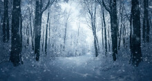 fantasy winter landscape, snow falling on forest road