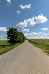 Wall Mural - paved road in sunny weather