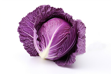 Sticker - Cabbage