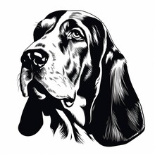 Illustration Of Vector Illustration Of A Basset Hound In The Style, Generative Ai