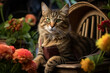 © Tetiana - Generative AI picture of fluffy cat pet nature autumn farm garden flowers colorful image