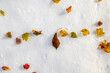 © Paul - New fallen snow. From fall to Winter