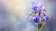  A Purple Flower With Yellow Stamens On A Blue Background.  Generative Ai