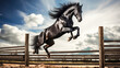 Beautiful bay stallion jumping over a wooden fence. 
Black horse  jumping over obstacle in equestrian sports arena.