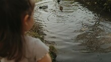 Side View Of A Little Girl Standing On Shore Near Water And Feeding Ducks In Nature. Wild Birds Floating On Lake.