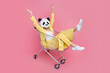 Full size portrait of excited funky 3d panda mask girl sit inside market trolley raise hands isolated on pink color background