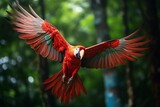 Red hybrid macaw parrot flying in forest with blurred green background. Created with generative AI