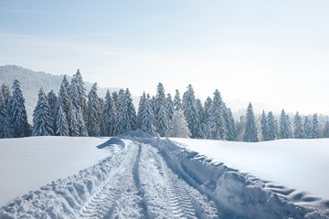 Canvas Print - Schneefahrbahn im Winter durch verschneite Landschaft