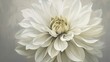  a large white flower on a gray background with a white center.  generative ai