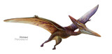 Fototapeta Dinusie - Illustration of a flying pterodactyl.  Flying brown dinosaur. Predator in flight.