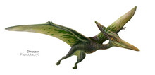 Illustration Of A Flying Pterodactyl.  Flying Green Dinosaur. Predator In Flight.