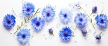 White Banner With Cornflowers And Water Drops On