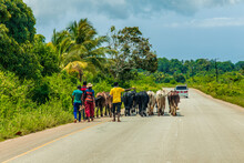 African Road Through Village People Going About Business