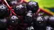Super Ultra closeup macro of elderberry fruit. Generative AI. 