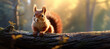 Sunlit Red Squirrel on Forest Branch
