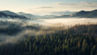 fogged Pine forests, bird eye view. Generative AI