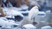  A White Egret Standing On A Rock In A Stream Of Water With Snow Falling On The Ground And Grass In The Foreground And Trees In The Background.  Generative Ai