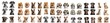 Collection of dogs of various breeds on transparent background PNG