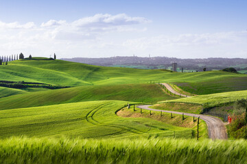 Wall Mural - Route of the via Francigena and Siena city in the background. Tuscany, Italy