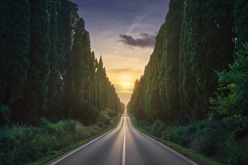 Wall Mural - The cypress tree-lined avenue of Bolgheri and the sun in the middle. Maremma, Tuscany, Italy