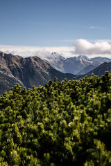 widok na Tatry Wysokie z Ornaku w Tatrach Zachodnich, kosodrzewina, Tatry, Tatrzański Park Narodowy, Kościelisko, Zakopane, Dolina Kościeliska