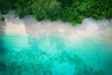 Drone bird eye view at Anse solei beach, white sandy beach, turquoise and calm sea and trees, Mahe Seychelles 6