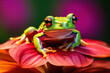A pet frog on a lily pad, focus on the colors and texture