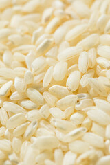 Wall Mural - Raw Dry White Arborio Rice