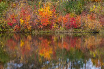 Wall Mural - autumn in oka national park, canada