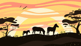 Fototapeta Dziecięca - zebra at sunset, silhouette of a zebra on the background of the sunset in the savannah, Africa landscape, the world of wildlife, a family of zebras in the savannah 