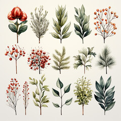 Wall Mural - Christmas set of plants with flowers, spruce branches, leaves and berries. AI generative