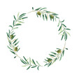 Watercolor olive wreath with green olives. Isolated on white background. Hand drawn botanical illustration. Can be used for cards, emblem, logos and food design.