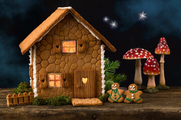 Edible gingerbread house with fairy night sky