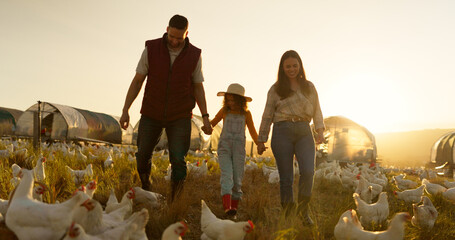 Canvas Print - Agriculture, holding hands and chicken with family on farm for sustainability, environment and livestock industry. Sunset, nature and love with parents and child in countryside field for animals