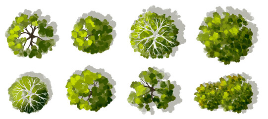 Wall Mural - vector set of top view green tree for outdoor plan or map and architecture drawing, elements for env