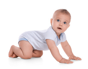 Wall Mural - Cute little baby boy crawling on white background