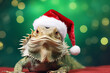 Cute bearded dragon wearing a santa hat, on a Christmas holiday background, space for text