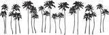 Fototapeta Sypialnia - Black palm tree set vector illustration on white background silhouette art black white stock illustration png