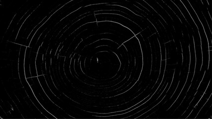 Distressed wood texture on Vintage abstract texture of old surface. Pattern and texture of cracks, scratches and chip. Cross section tree rings cut slice. Round wooden black design elements.