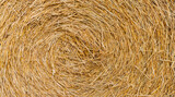 Fototapeta Desenie - Hay bale is stacked in large stack. rural autumn with hay. straw summer background. haystack straw prepared for farm. Stack dry hay. Hay texture. Haystack storage