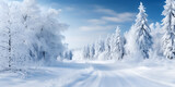 Fototapeta Las - Winter background of snow and frost with landscape of forest, 