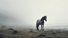  A Horse Standing In The Middle Of A Foggy Field With Rocks And Grass In The Foreground And A Body Of Water In The Background.  Generative Ai