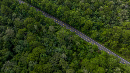 Wall Mural - Aerial view over  forest road with asphalt road and forest, Road in the middle of the forest up to mountain, Countryside road passing through the green forrest and mountain.